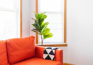 Cozy and Comfy Condo Near Wrigley | Cubs | Logan Square HL1