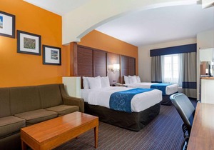 Comfort Suites Stevensville - St Joseph