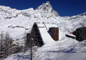 Housecervinia