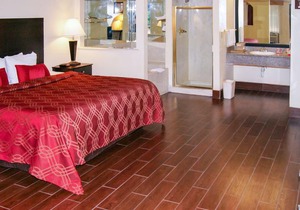 Econo Lodge Inn & Suites West - Energy Corridor