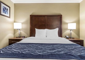 Comfort Inn Sunnyvale - Silicon Valley