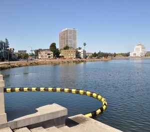 Americas Value Inn Downtown Oakland Merritt 