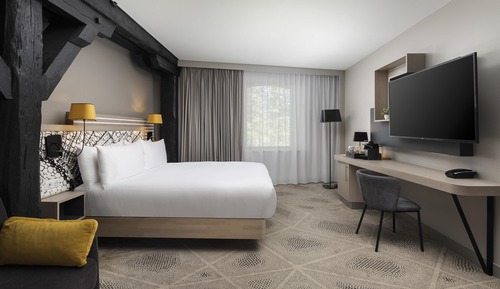 Deluxe Room, 1 Queen Bed with Sofa bed