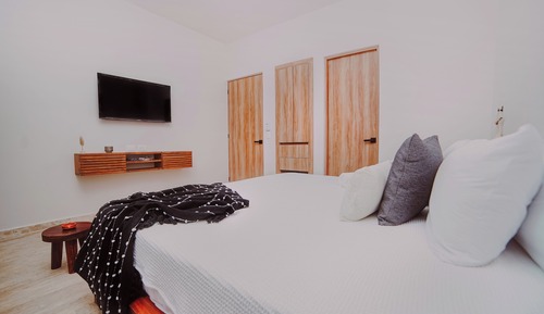 Standard Apartment, 1 King Bed with Sofa bed