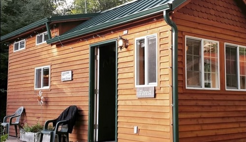 Tiny House Forest Loft Bed