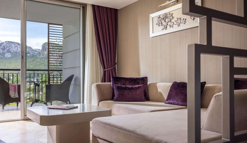 Deluxe Room, 1 King Bed, Mountain View