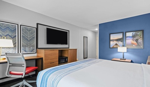 Room, 1 King Bed, Non Smoking