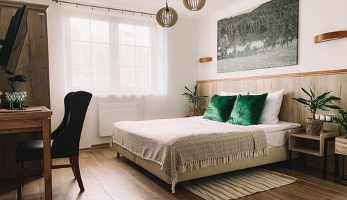 Deluxe Double or Twin Room