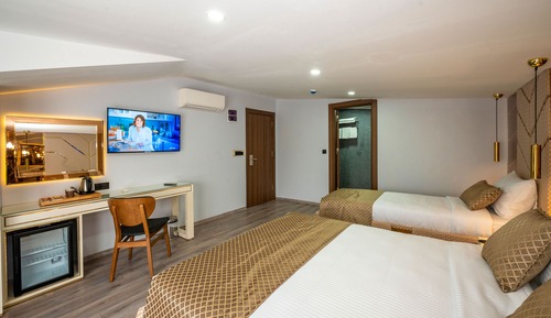 Deluxe Triple Room