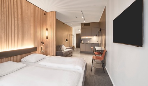Studio, 1 King Bed with Sofa bed