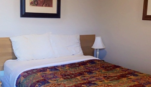 Basic Single Room