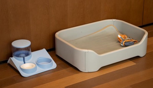 Premium Room (Pet Friendly)