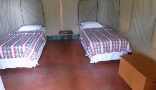 Standard Tent