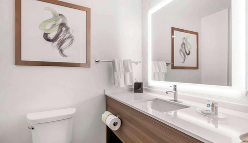 Suite, 1 King Bed with Sofa bed, Non Smoking