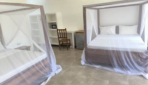 Standard Twin Room- Garden View