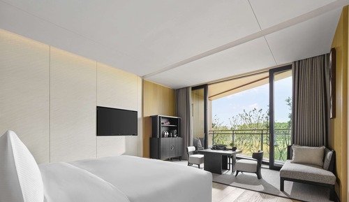 Suite, 1 King Bed (Ambassador)