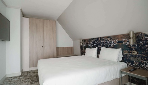 Room, 1 King Bed (Privilege)