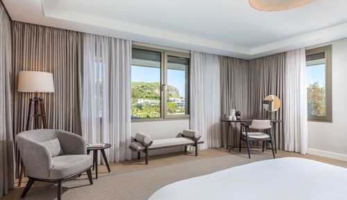 Premium Suite