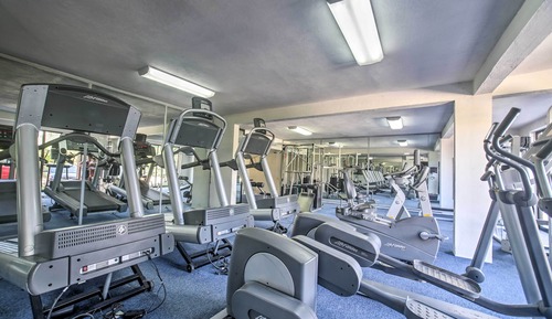 Apartment (1 Bedroom)