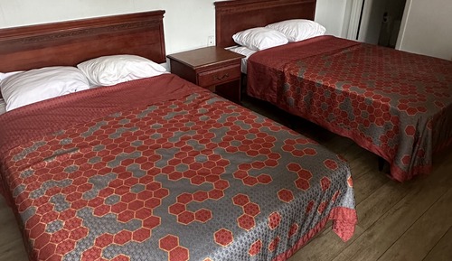 Basic Double or Twin Room