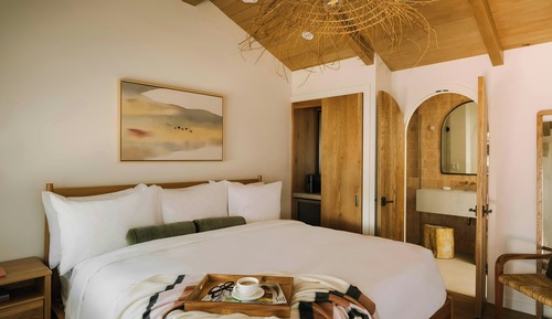 Suite, 1 King Bed with Sofa bed