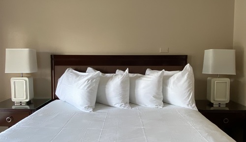 Room (King - Standard View)