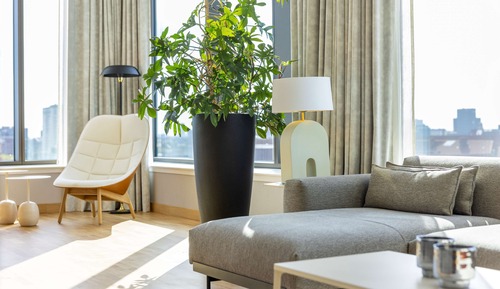 Presidential Suite (View)