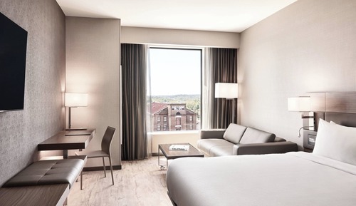 Room, 1 King Bed