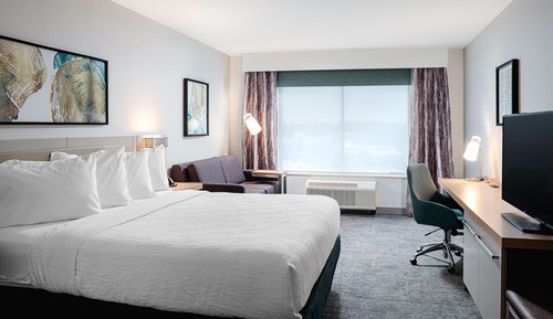 Room, 1 King Bed