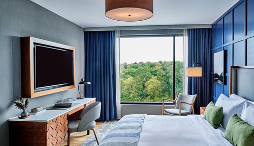 Suite, Accessible (King)