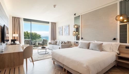 Deluxe Double or Twin Room