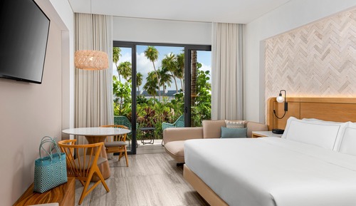 Room, 1 King Bed, Accessible (Roll-In Shower)