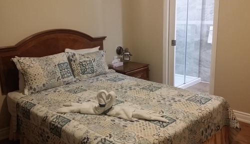 Room, 1 Queen Bed