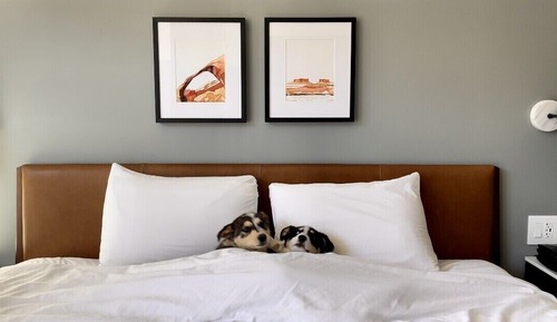 Powderhound ADA Suite | King + Queen Sofa Sleeper