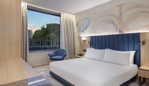 1 King Bed Accessible Room