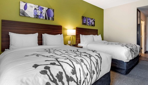 Suite, 2 Queen Beds, Non Smoking