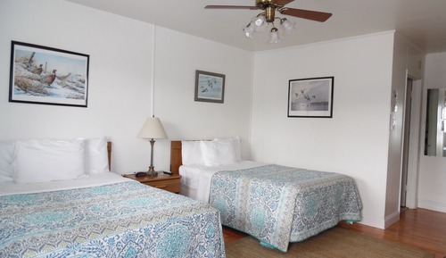 Standard Double Room, 2 Double Beds, Non Smoking (Not Pet friendly)