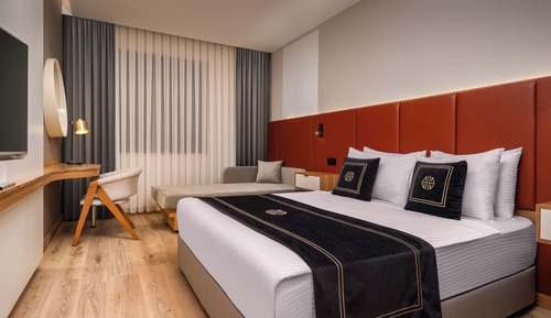 Standard Room, 1 Double Bed, Accessible, Non Smoking (Walk-in Shower)