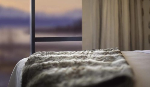 Whenua Suite