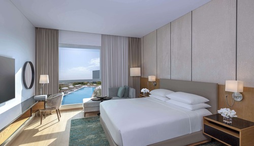 Room, 1 King Bed