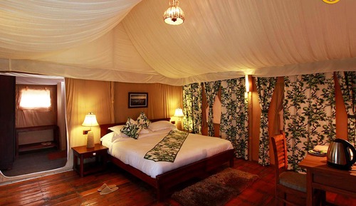Luxury Tent