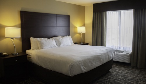 Room, 1 King Bed, Accessible, Non Smoking (Roll in shower, Audible, Visual Alert)