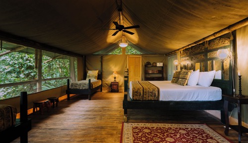 Superior Tree House, Bathtub, Hill View