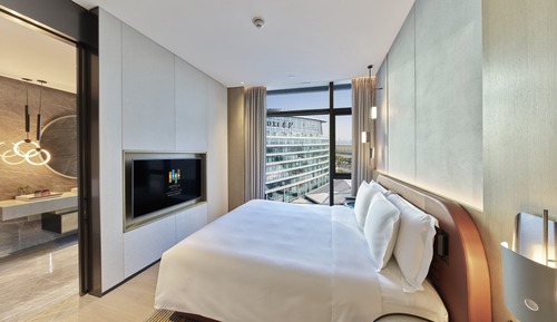 1 King 1 Bedroom Suite with Living Area