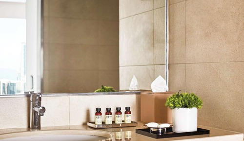 Penthouse, 2 Bedrooms, Kitchen (Pullman)