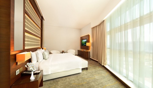 Executive Room (Plus)