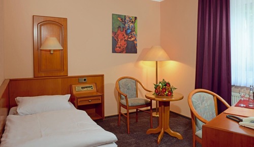 Superior Single Room