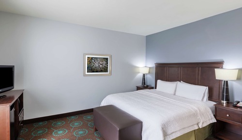 Room, 1 King Bed, Accessible