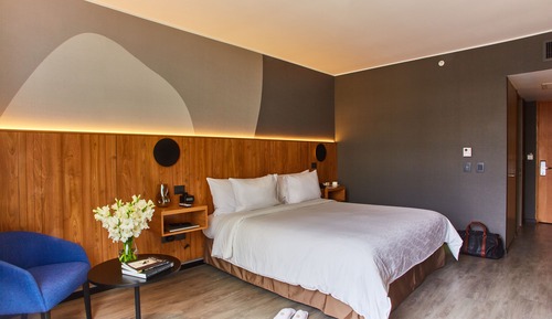 Superior Room, 1 King Bed