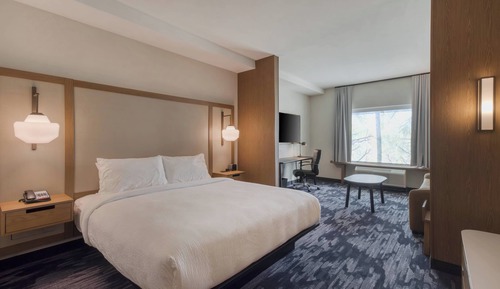 Suite, 1 King Bed with Sofa bed